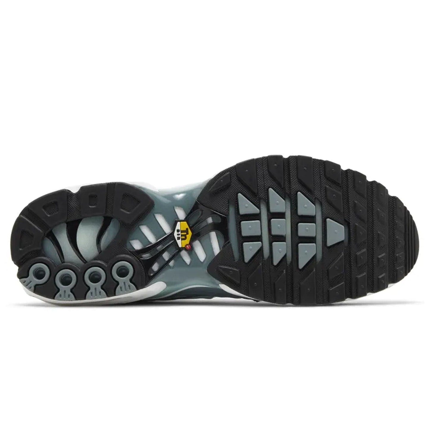 Nike Air Max Plus 'Palm Pack - Waterway' - Kick Game