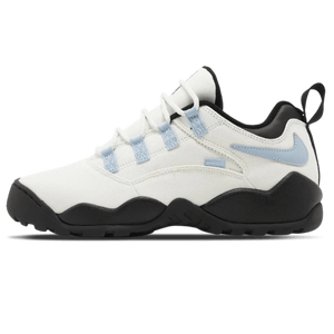 Supreme x Nike Darwin Low SB 'Sail'