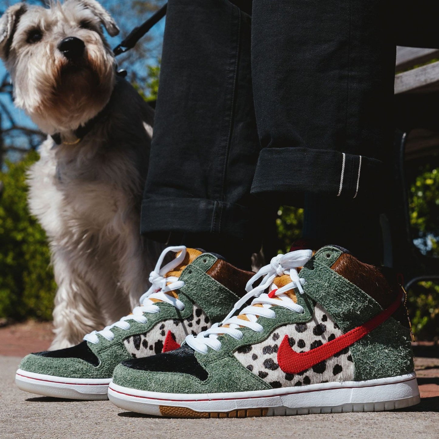Nike Dunk High SB 'Walk The Dog' - Kick Game