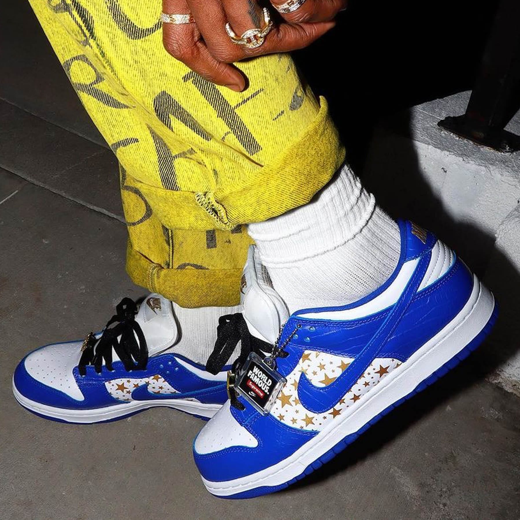 supreme sb dunk low